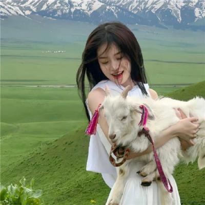 圣诞好家在 海报